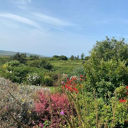 Atlantic Garden Lodge,Art Studio &Garden Lisdoonvarna Exterior foto