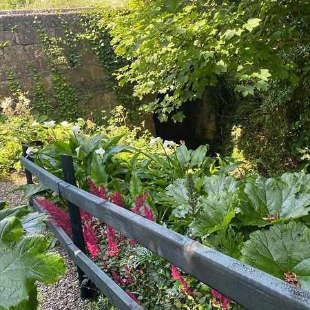 Atlantic Garden Lodge,Art Studio &Garden Lisdoonvarna Exterior foto
