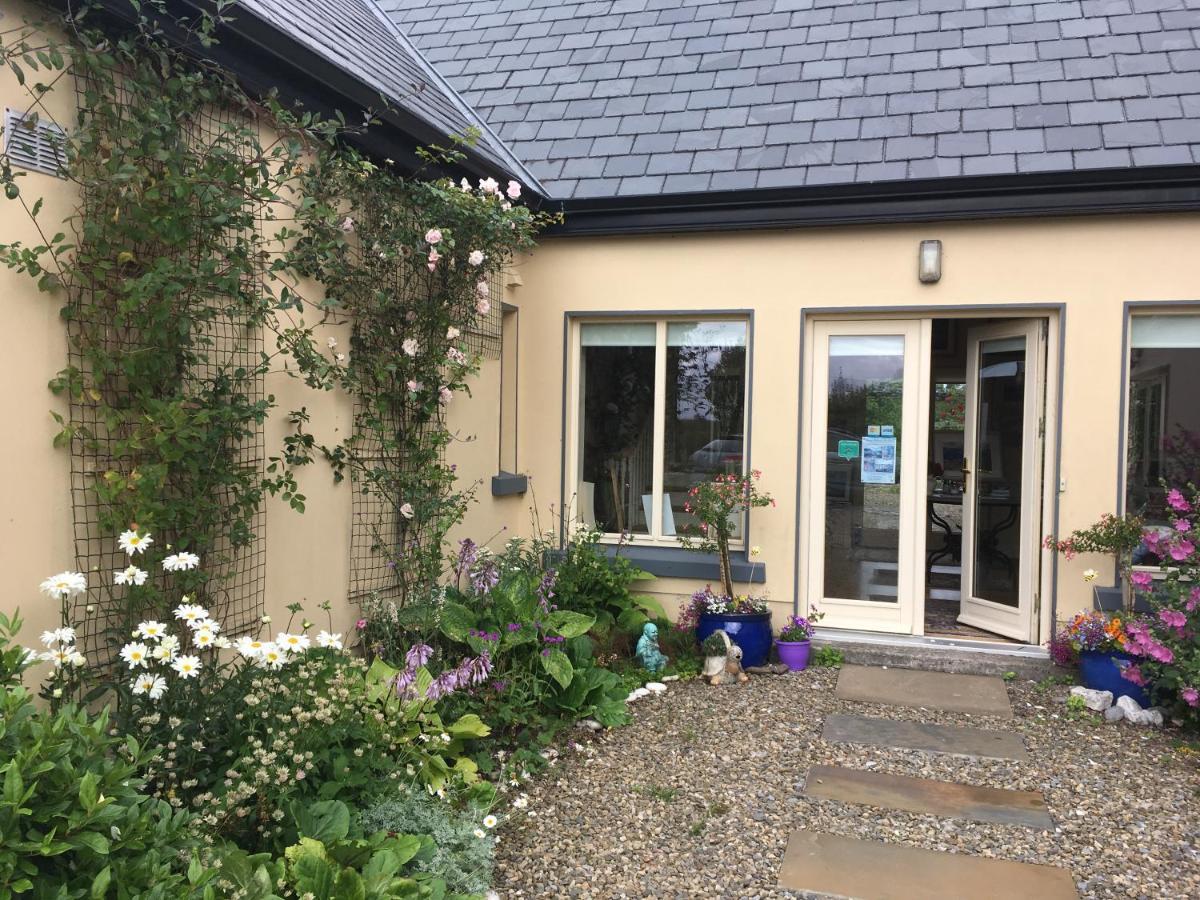 Atlantic Garden Lodge,Art Studio &Garden Lisdoonvarna Exterior foto